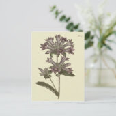 Geclusterde Botanische Illustratie van Bellflower Briefkaart (Staand voorkant)
