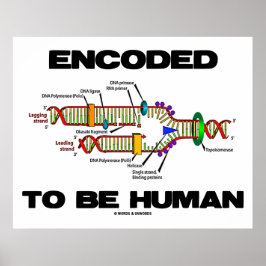 gecodeerd om menselijk te zijn (DNA-replicatie) Poster