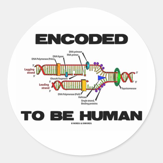 gecodeerd om menselijk te zijn (DNA-replicatie) Ronde Sticker (Voorkant)