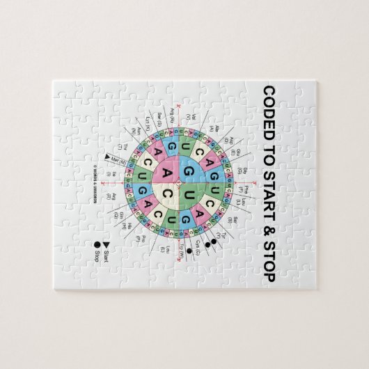 Gecodeerd om te beginnen en te stoppen (Codon wiel Legpuzzel (Horizontaal)