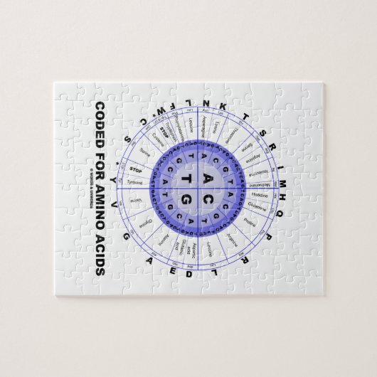 Gecodeerd voor aminozuren (genetische code-DNA) Legpuzzel (Horizontaal)