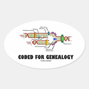 Gecodeerd voor genealogie (DNA-replicatie) Ovale Sticker