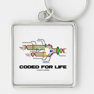 Gecodeerd voor het leven (DNA-replicatie) Sleutelhanger