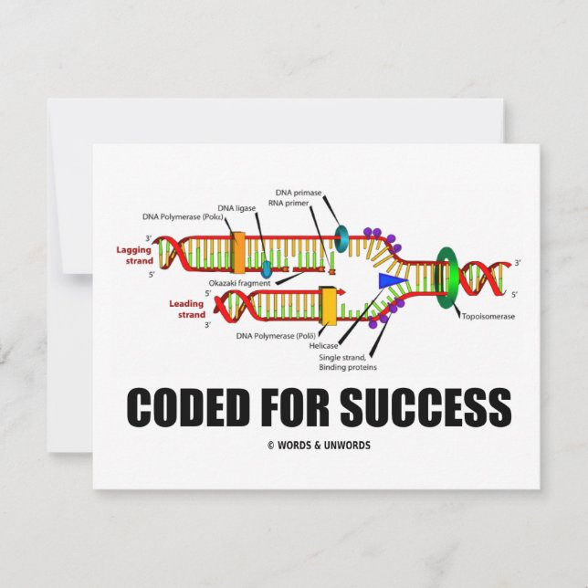 Gecodeerd voor succes (DNA-replicatie) (Voorkant)