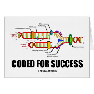Gecodeerd voor succes (DNA-replicatie)