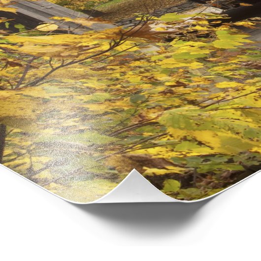 Gecodeerde brug, Vermont, Verenigde Staten 2 Foto Afdruk (Hoek)