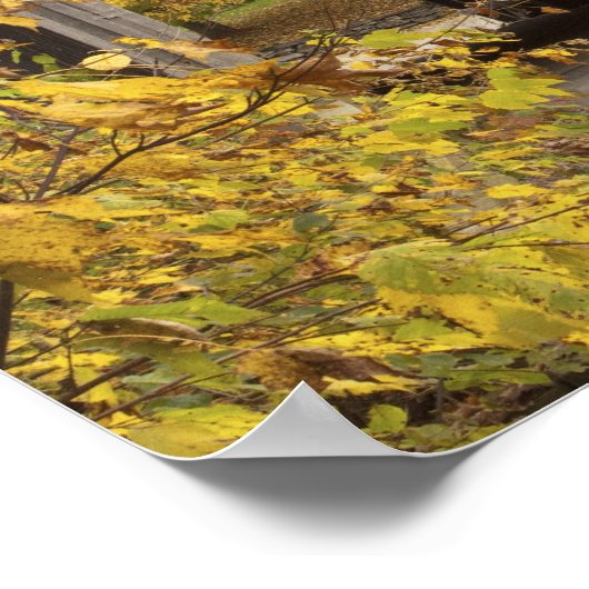 Gecodeerde brug, Vermont, Verenigde Staten 2 Poster (Hoek)