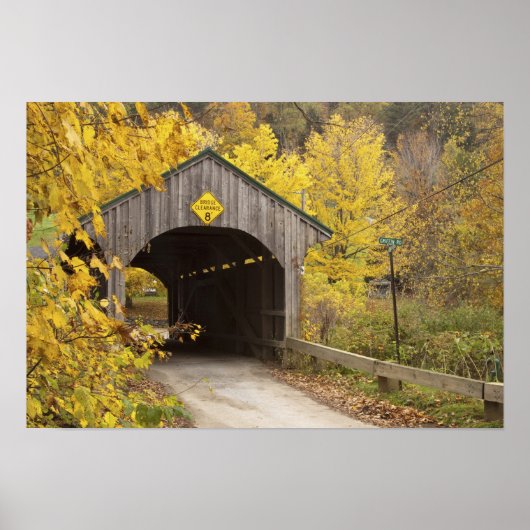 Gecodeerde brug, Vermont, Verenigde Staten 2 Poster (Voorkant)