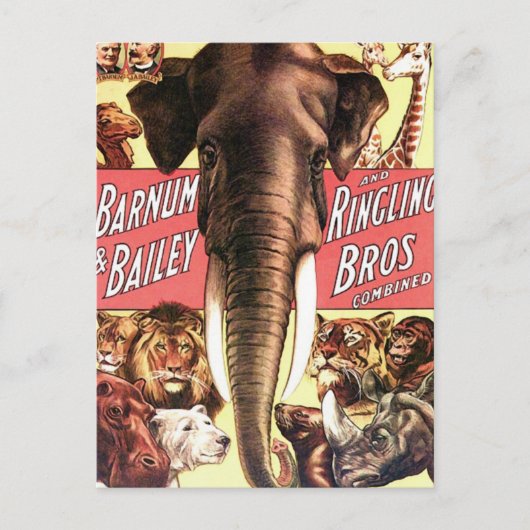 Gecombineerd Barnum en Bailey en Ringling Bros - E Briefkaart (Voorkant)