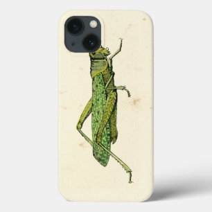 Gecombineerde afdruk van groene sprinkhaan iPhone 13 hoesje