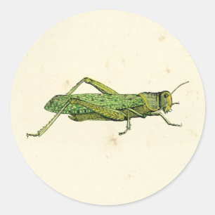 Gecombineerde afdruk van groene sprinkhaan ronde sticker