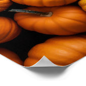 Gecombineerde pompoenen poster (Hoek)