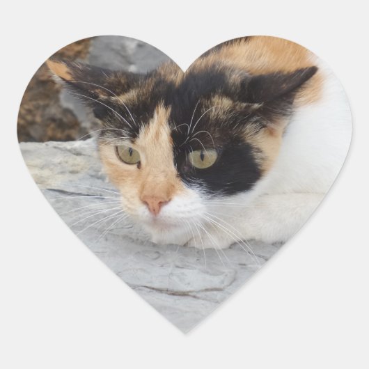 Geconcentreerd hartkleverteken hart sticker (Voorkant)