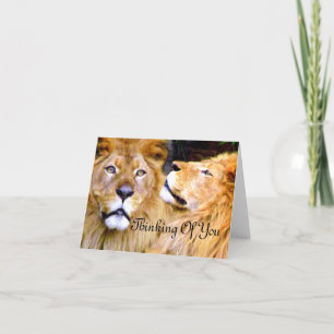 Geconcentreerd & Sterkte_ Kaart