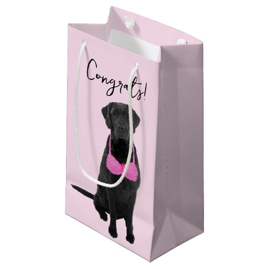 Geconcentreerde hond voor borstkankeroverleving klein cadeauzakje (Voorkant Gekanteld)
