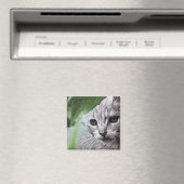 Geconcentreerde witte kat magneet (Insitu (Vaatwasser))