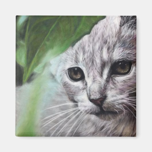 Geconcentreerde witte kat magneet (Voorkant)