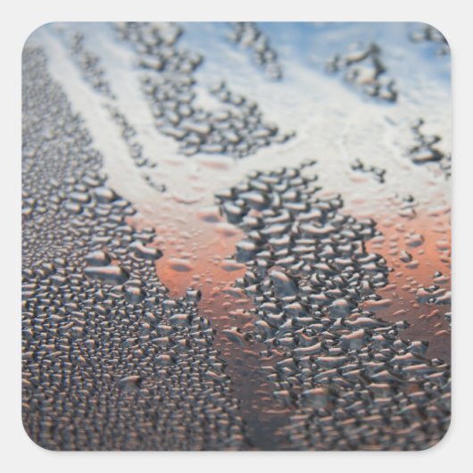 Gecondenseerde waterdruppels vierkante sticker (Voorkant)