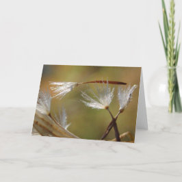 Gecondoleerd Dauwbloem Met Gedicht Kaart