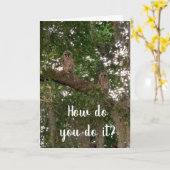 GECONFUSEERDE OWLS WETEN NIET HOE JE HET DOET. KAART (Gele Bloem)