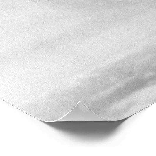 Geconsolideerde B-24-Liberator Poster (Hoek)