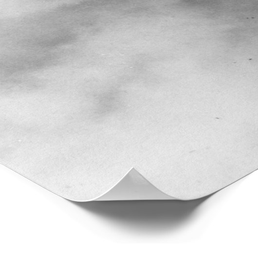 Geconsolideerde B-24-Liberator Poster (Hoek)