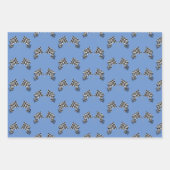 Gecontroleerd vlaggenontwerp inpakpapier vel (Voorkant 3)