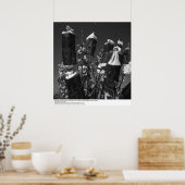 Gecontroleerde Pollinization, Pear Orchard, UCD, 1 Poster (Keuken)