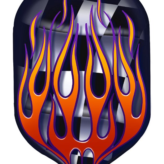 Gecontroleerde vlagvlammen pickleball paddle