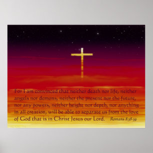 Geconvinceerd Poster