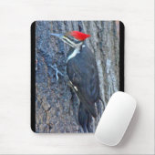 Gecoördineerde items in pileed Woodpecker Muismat (Met muis)