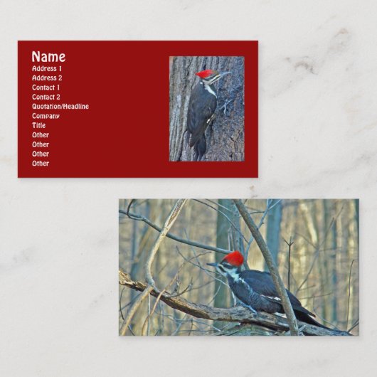 Gecoördineerde items in pileed Woodpecker Visitekaartje (Voorkant / Achterkant)