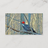 Gecoördineerde items in pileed Woodpecker Visitekaartje (Achterkant)