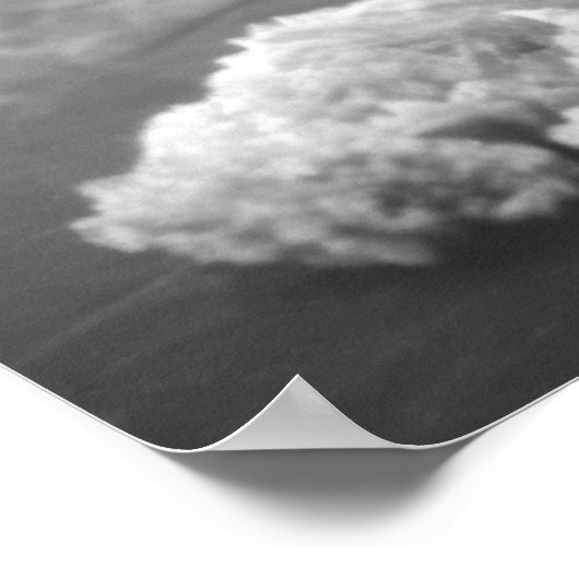 GECORDEERDE VROUW 1902 POSTER (Hoek)