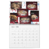 GECORRIGEERD Holly's halfjaarlijks vergaderrooster Kalender (Mar 2026)