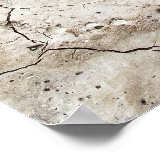 GECRACKEERDE NAUTILUS SHELL POSTER (Hoek)