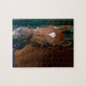 Gecurreerd Legpuzzel (Horizontaal)