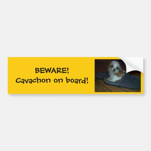 GEDAAN! Cavachon aan boord! Bumpersticker. Bumpersticker (Voorkant)