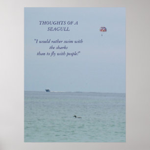 Gedachten over een Poster van Seagull 2