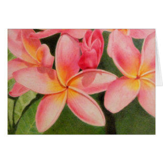 Gedachten over Plumeria