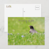 Gedachten over You Briefkaart  (Voorkant / Achterkant)