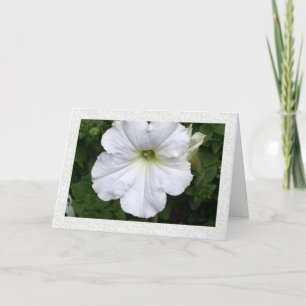 Gedachten over You Petunia Kaart
