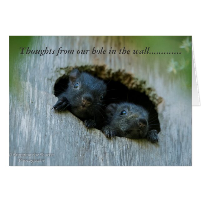 Gedachten van ons gat in de muur..... (Voorkant Horizontaal)