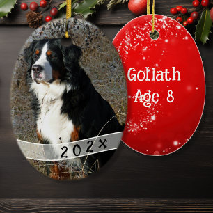 Gedateerde ovale hond foto Kerst ornament