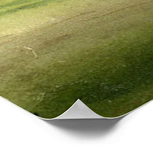  gedecormeerd olifant met howdah schilderen poster (Hoek)