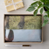 Gedecoupeerd paard in veld regenboog tissuepapier (Geschenk)