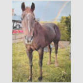 Gedecoupeerd paard in veld regenboog tissuepapier (Voorkant)