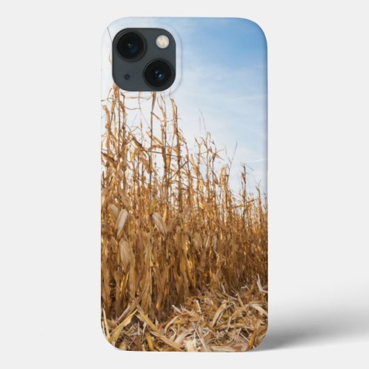 Gedeeltelijk geoogst maïsveld Case-Mate iPhone case (Achterkant)