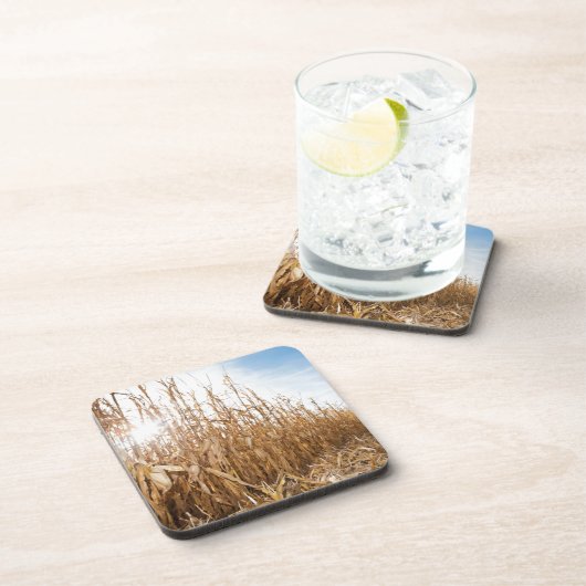 Gedeeltelijk geoogste Corn-veld Bier Onderzetter (Rechterzijde)