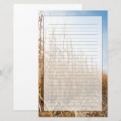 Gedeeltelijk geoogste Corn-veld Briefpapier (Voorkant / Achterkant)